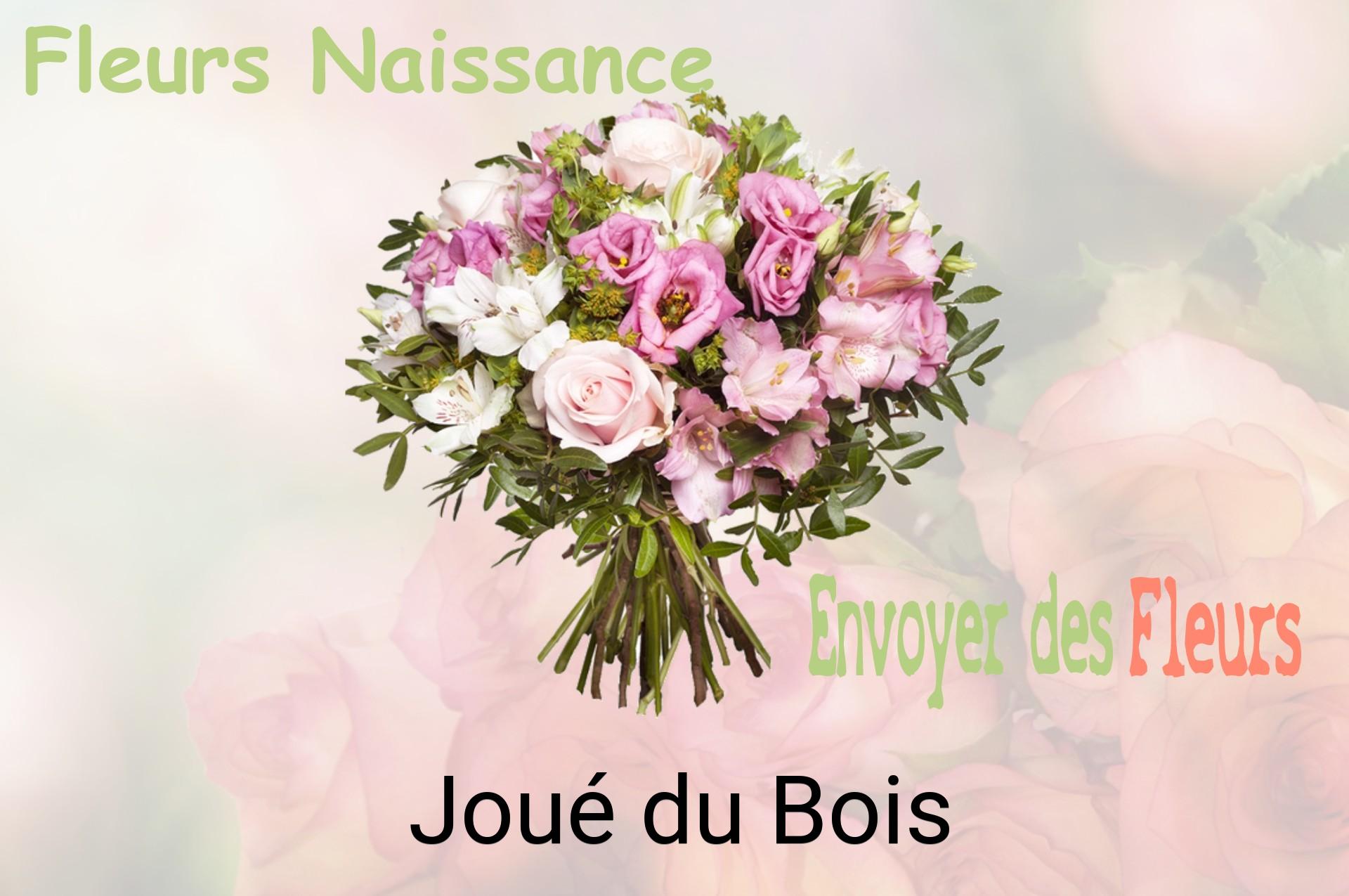 Bouquet de fleurs de naissance livré à Joué-du-Bois