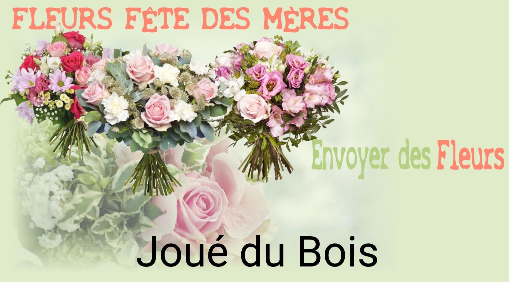 Bouquet de Fête des Mères livré à Joué-du-Bois